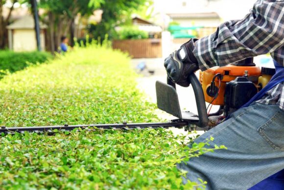 Lawn Care Services in Lincoln, NE - Lawn Mowing, Cleanup